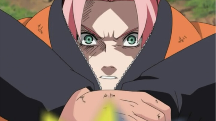 Hãy sinh ra Sakura! ? ! !