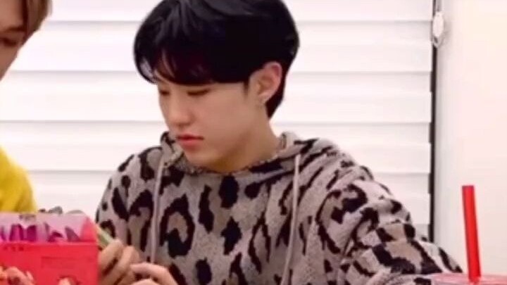 【seventeen】Tôi đã bị “Vĩ Muội” đầu độc rồi