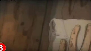 Top 10 quá khứ lấy đi nước mắt nhiều nhất trong One Piece p12