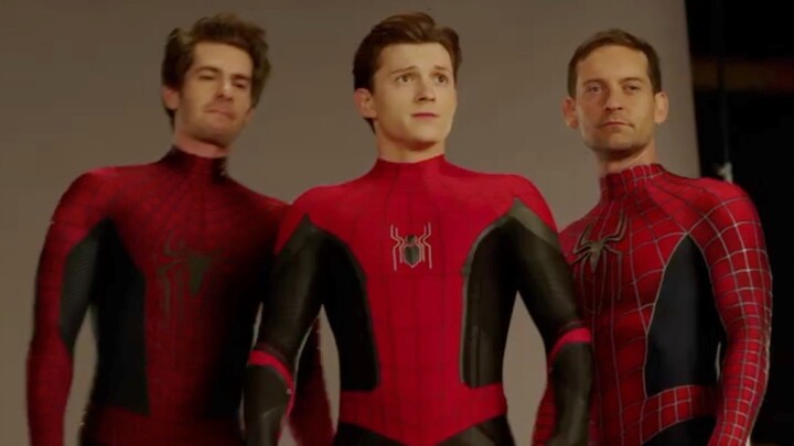Dutch brother: "Introduce, this is Spider-Man, and this is Spider-Man!"