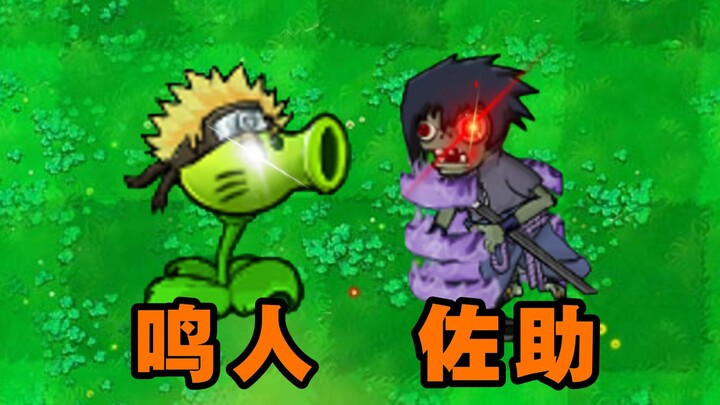 The Ninja War Has Reached Dave's Backyard