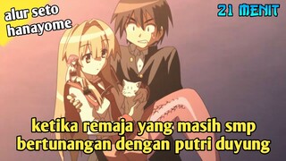 Remaja Yang Bertunangan Dengan Putri Duyung -  Alur Cerita Anime Seto no hanayome