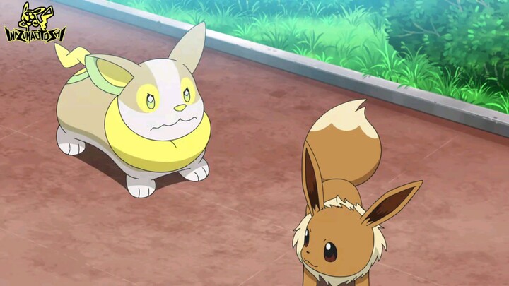 pokemon journey episode 49 sub indo