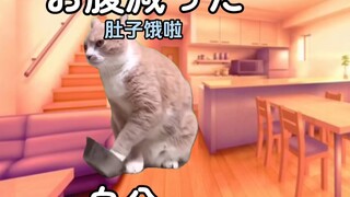 【熟/猫meme】爸爸上班的公司破产时的故事（1）