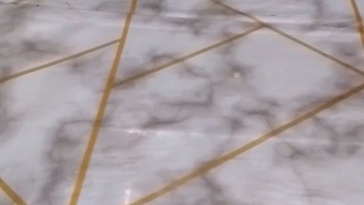 Pomeranian*Szitsu 😍🥰