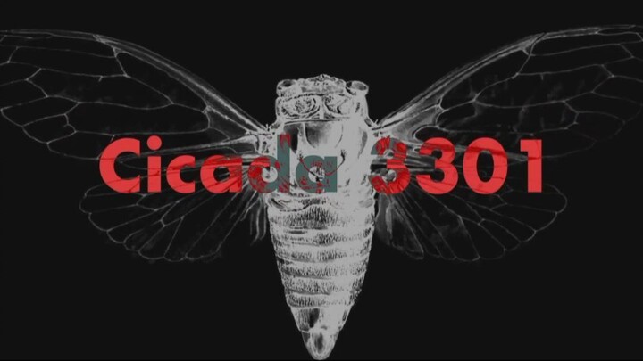 Cicada 3301: The Mystery That Still Haunts the Internet