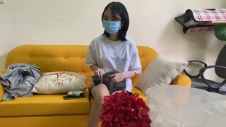 Bé mèo ALN xám xanh Mím về nhà cùng cô chủ xinh đẹp