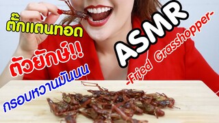 ASMR Eating เสียงกิน ตั๊กแตน ทอด ตัวยักษ์ กรอบหวานมันน Fried Grasshopper Eating Sound | Namcha ASMR