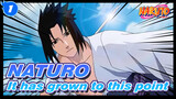 NATURO|【Sasuke Cut 3-II】It has grown to this point_1