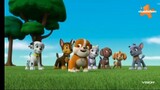 Paw patrol Musim 7 Episode 3 dan Episode 4 Bahasa Indonesia Vision+