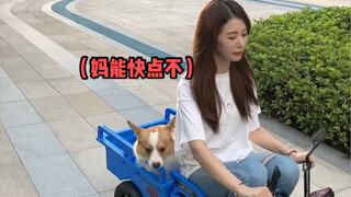 ตกใจเลย! วิธีเรียนขับรถของแฟนสาวช่างแปลกประหลาดเสียจริง!