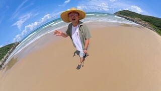 Hãy nhảy theo tiêu chuẩn của cây dừa và ăn thật nhiều hải sản nhé!