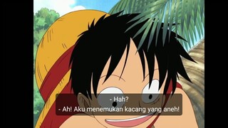 LUFFY LUCU 😤😤