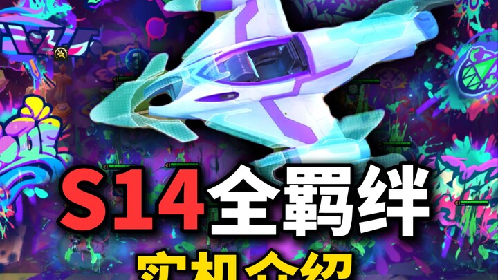 【ข่าวลือ】เก็บผักแล้วได้รับโบนัสพิเศษ 3 สายสัมพันธ์สีสันสดใสทันที?