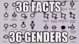 36 Facts about the 36 Genders.