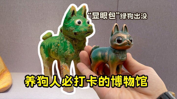 Museum wajib dikunjungi bagi para pemilik anjing! Si “paling mencolok” anjing hijau muncul, imutnya 