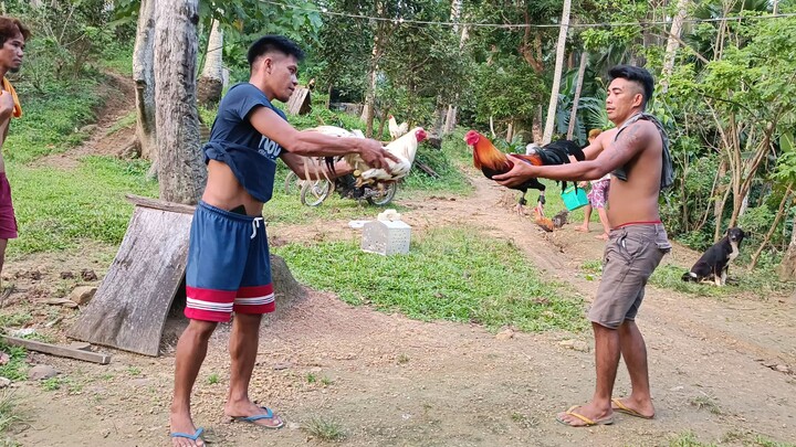 Selection Spar for 2024