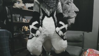 [Fursuit Making] Little Pirate 2.0 Full Suit, Let's Go!