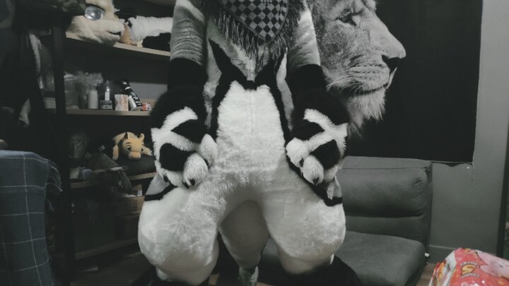 【Chế tác fursuit】Toàn bộ trang phục Tiểu Hải Tặc 2.0, tiến lên thôi