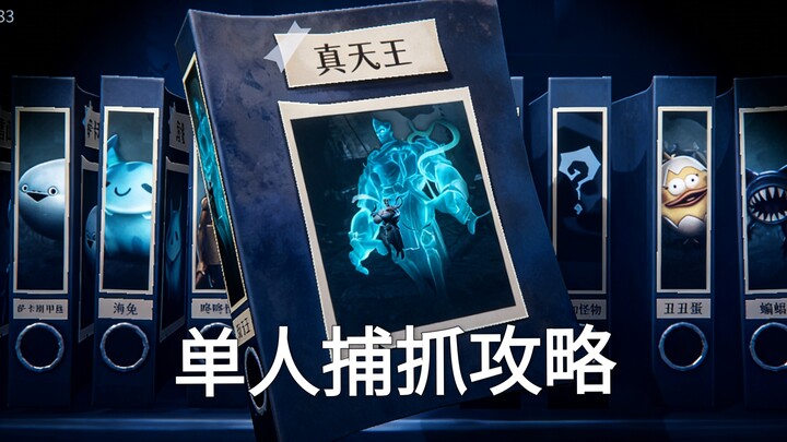 [Single-Player Capture Guide] True King of the Sky