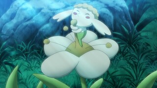 Pokemon Tập 1156: Bông hoa trắng của Flabébé