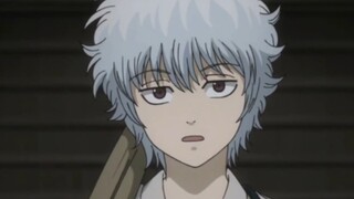 Shira là kẻ ngốc từ khi sinh ra, trong khi Gintoki là kẻ ngốc bẩm sinh.