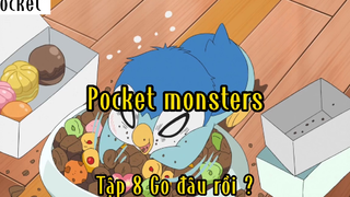 Pocket Monsters_Tập 8 Go đâu rồi ?