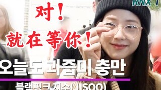 金智秀每次都不相信自己的人气，看到机场那么多人等她，很吃惊！blackpink