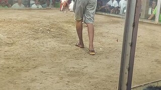 boti nalang naka chamba