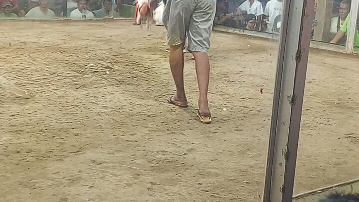 boti nalang naka chamba