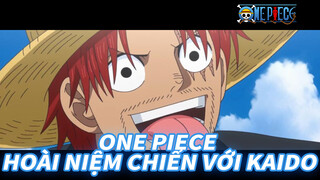 One Piece hoài niệm - Bạn còn không đấu với Kaido sớm, thì con tôi đẻ đến nơi rồi!