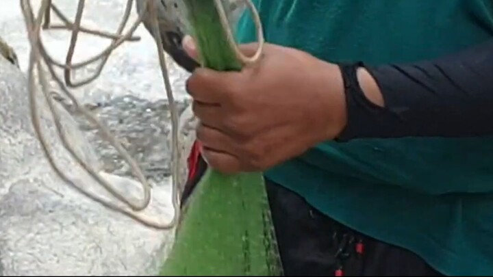 cast net fishing in Nepal | himalayan trout fishing with handmade cast net |