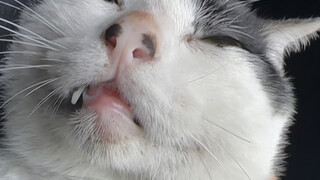 ใครบอกว่ามองไม่เห็นเจ้าหน้าที่รักษาความปลอดภัยล่ะ?