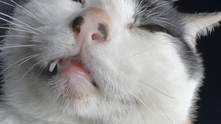 谁说看不见保安的？