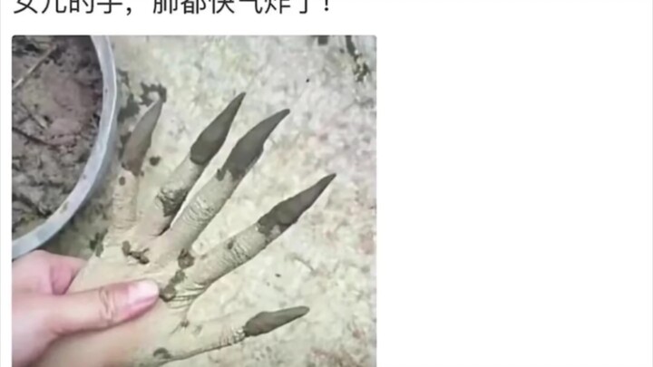 【กล่องสุ่มภาพไว้อาลัย】ลูกสาวกลับกลายเป็นแม่แบบชีวะ…（ด็อกเก้）