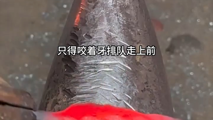 Muốn làm bác sĩ thần y thì bị kiện, quyết định chuyển nghề làm bác sĩ thú y 16