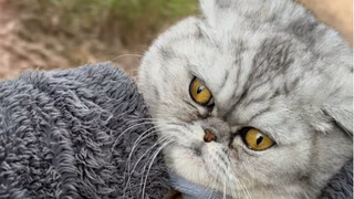 If you love me, give me a hug