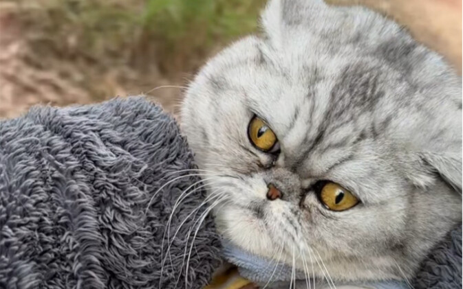 If you love me, give me a hug