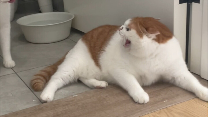 Clumsy and short-tempered