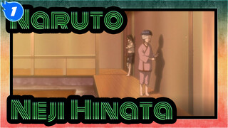 [Naruto] Neji&Hinata--- Destiny of Hyūga Clan_1