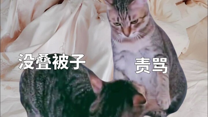 Reasons for getting scolded at home during the holiday~