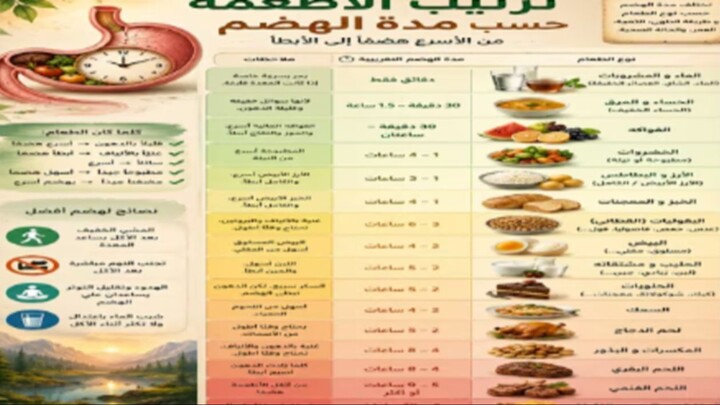 تنظيم الاطعمة حسب مدة هضمها