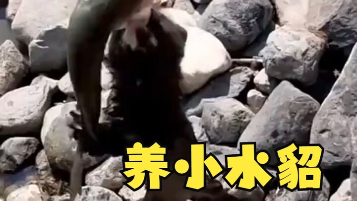 الصلة بين البشر والحيوانات مريحة حقًا...