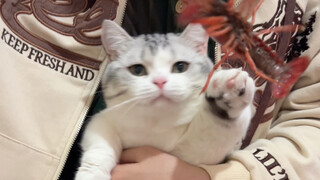 Tears shamelessly rolled down from the corner of my mouth.