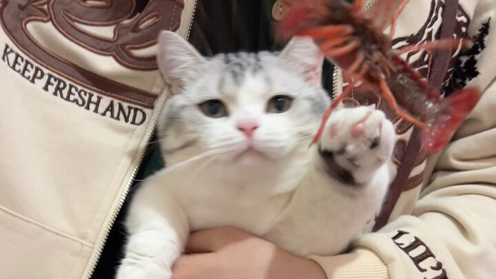 Tears shamelessly rolled down from the corner of my mouth.