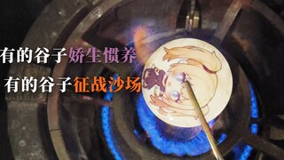 بعض الحبوب تُدلَّل وتعيش في رفاهية، وبعضها يخوض المعارك في ساحات القتال.