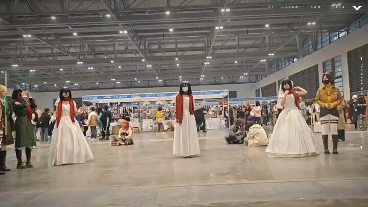 A group of Mikasa