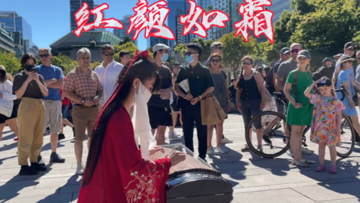 加拿大｜古筝《红颜如霜》她从未听过如此丝滑的国风新曲