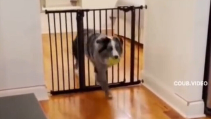 World of Legend: I can't handle the rendering anymore.