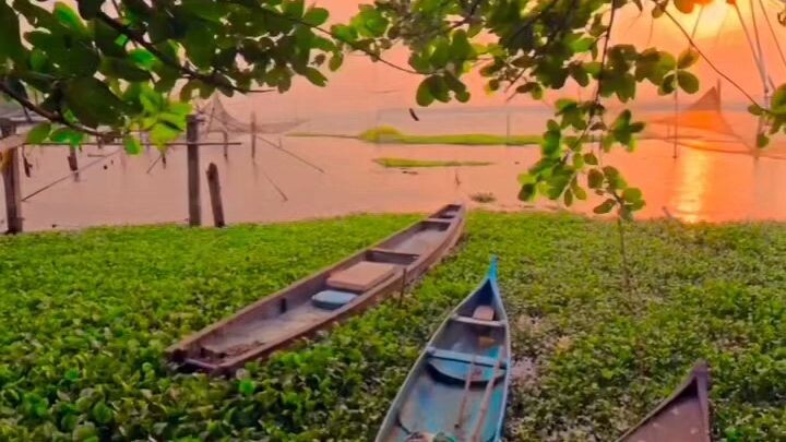 বিচার যদি আল্লাহ করে বাঁচার উপায় আছে,